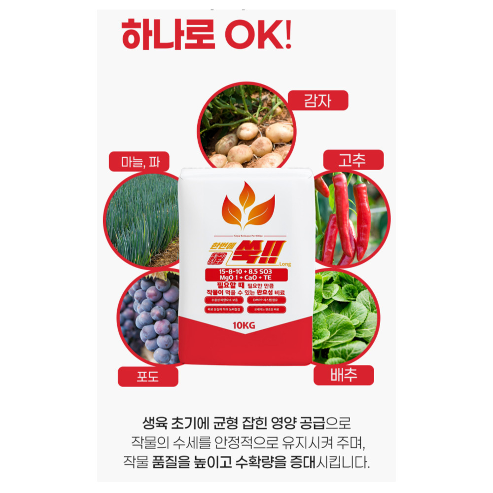 한번에쑥 롱 10KG 완효성 비료 밑거름 기비 유황 마그네슘 칼슘 배추 쪽파 마늘 대표 이미지