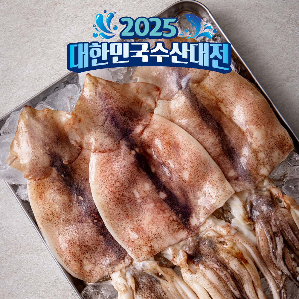 냉동 손질 오징어 선동 오징어 숙회 볶음용 요리재료