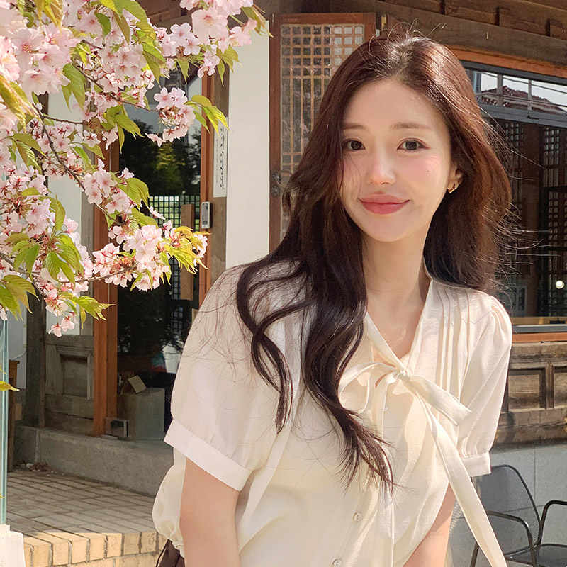 로즈엔 핀턱 리본 퍼프소매 반팔 블라우스 bs8182 - 상세 이미지 5