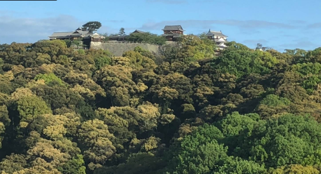 [일본골프여행]  마쓰야마 시내호텔 3색골프 3일