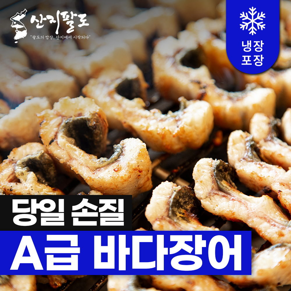 바다장어 아나고 생물장어 산지직송 신선한 손질장어 구이용 탕용 1kg 2kg - 상세 이미지 2