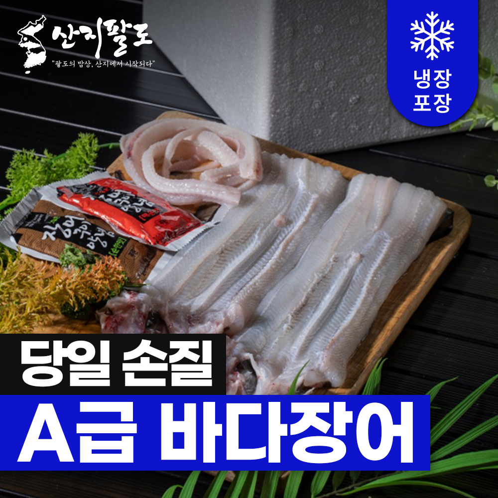 바다장어 아나고 생물장어 산지직송 신선한 손질장어 구이용 탕용 1kg 2kg - 상세 이미지 4