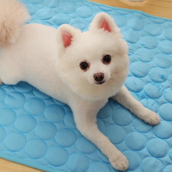 강아지 물방석 고양이 쿨침대 강아지 냉패드 - 메인 이미지