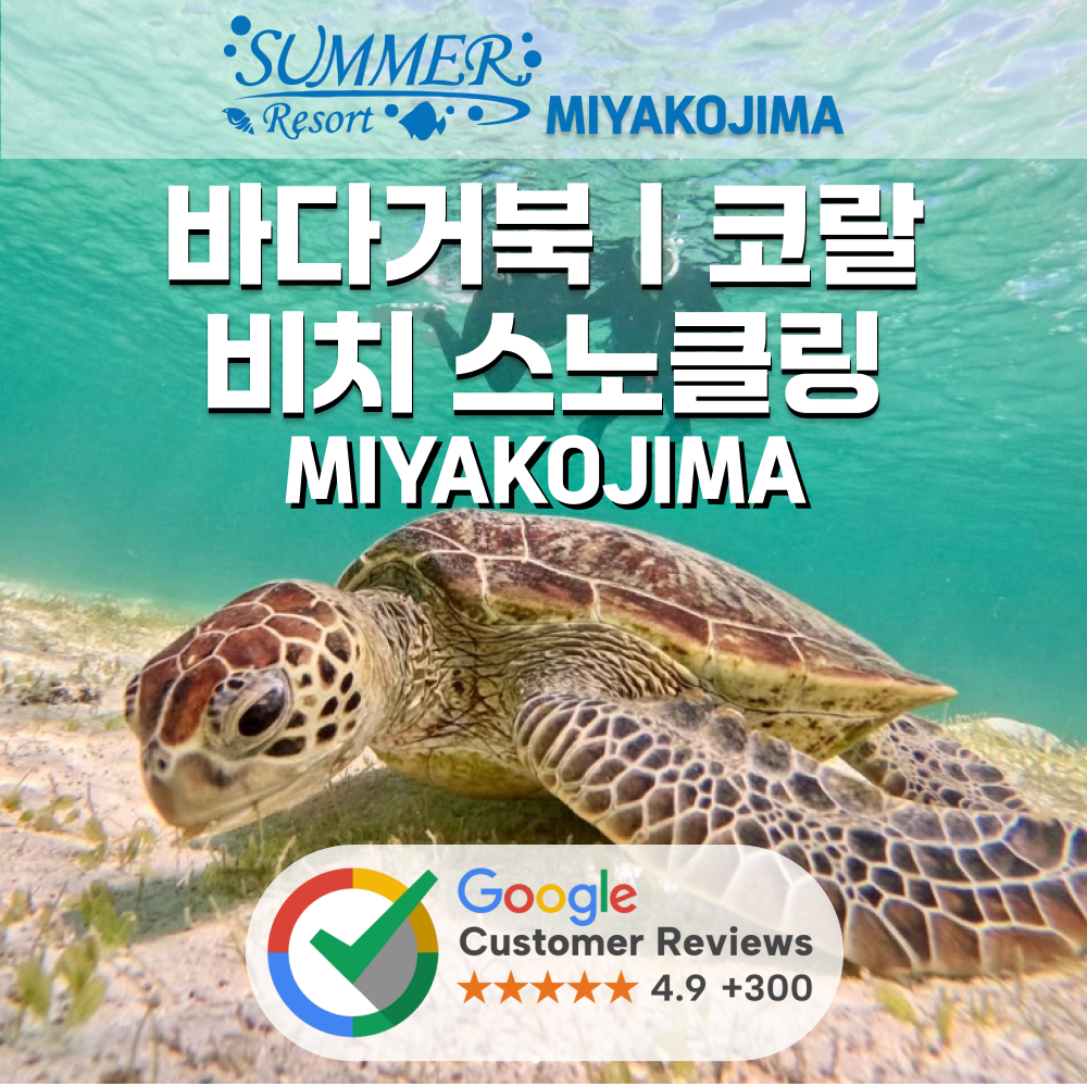 미야코지마 바다거북 스노클링 투어 스노쿨링 산호 업체 포인트 해변 야비지 - 상품 이미지