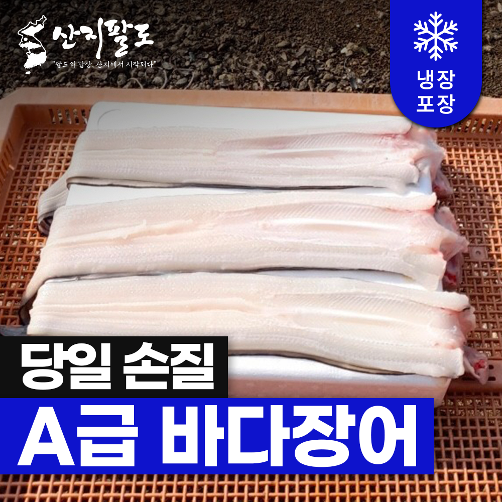 바다장어 아나고 생물장어 산지직송 신선한 손질장어 구이용 탕용 1kg 2kg - 상세 이미지 3