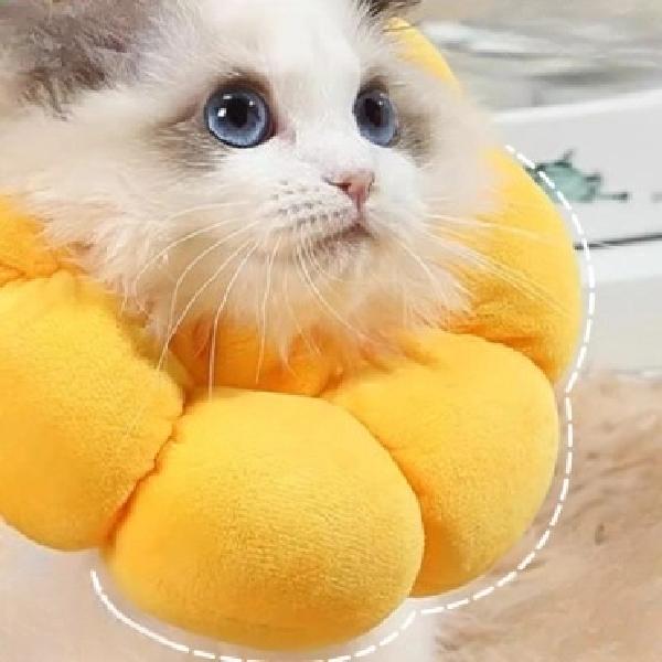 방수 푹신한 강아지 넥 카라 새끼 고양이 넥 카라