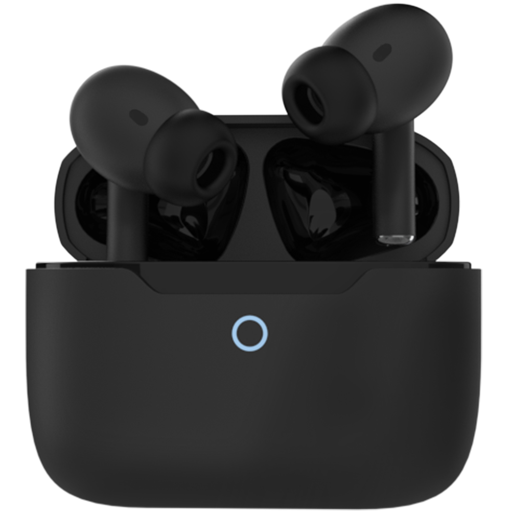 독일 블라우풍트 커널형 블루투스 노이즈캔슬링 무선이어폰 BLP-BE341 블랙