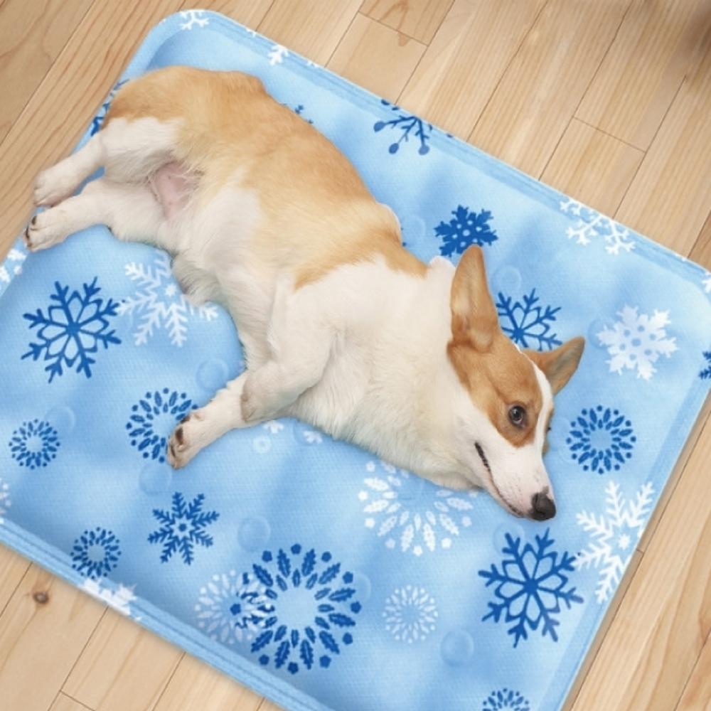 강아지 물 침대 애견 얼음 매트 강아지 물 방석 - 메인 이미지