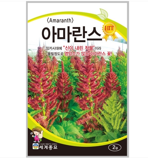 아마란스 2g / 씨앗 종자 이색채소 곡물 관상용 꽃 CR : 헤디유통