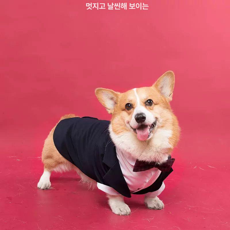 강아지 행사 옷 턱시도 대형견 정장 반려견 애견 의류 웨딩 - 상세 이미지 4