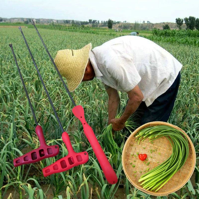 마늘쫑 뽑는 기계 기구 칼 마늘줄기 뽑기 마늘수확 도구 - 상세 이미지 2