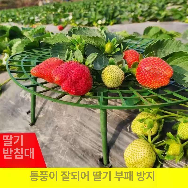 딸기 재배용 지지대 받침대 식물 화분 받침 과일 텃밭가꾸기 - 상세 이미지 3