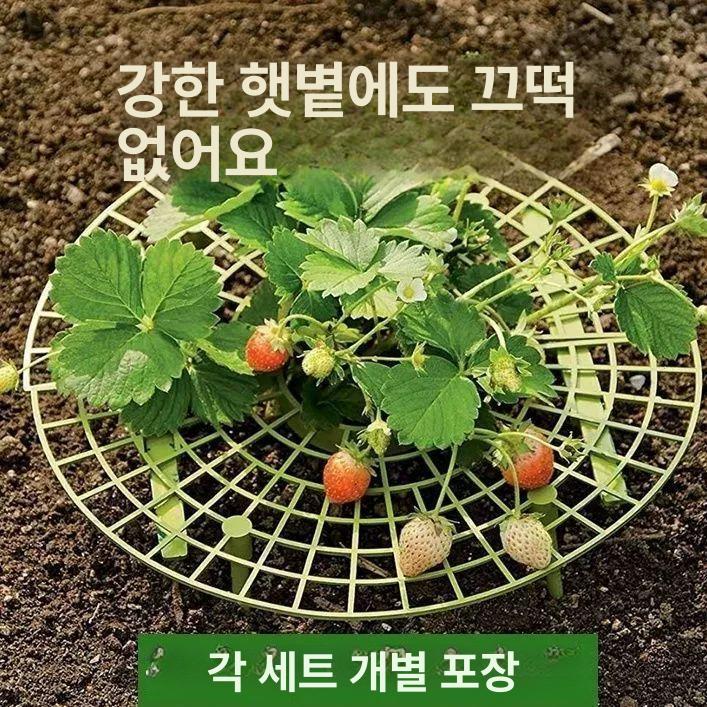 딸기 재배용 지지대 받침대 식물 화분 받침 과일 텃밭가꾸기 - 상세 이미지 2