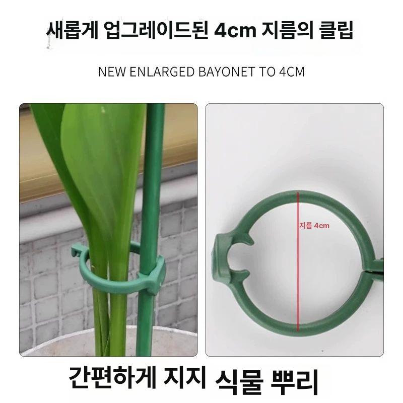 토마토 전용 지지대 원예용 정원 과일 농자재 화분 텃밭 고추 꽃 식물 넝쿨 - 상세 이미지 2