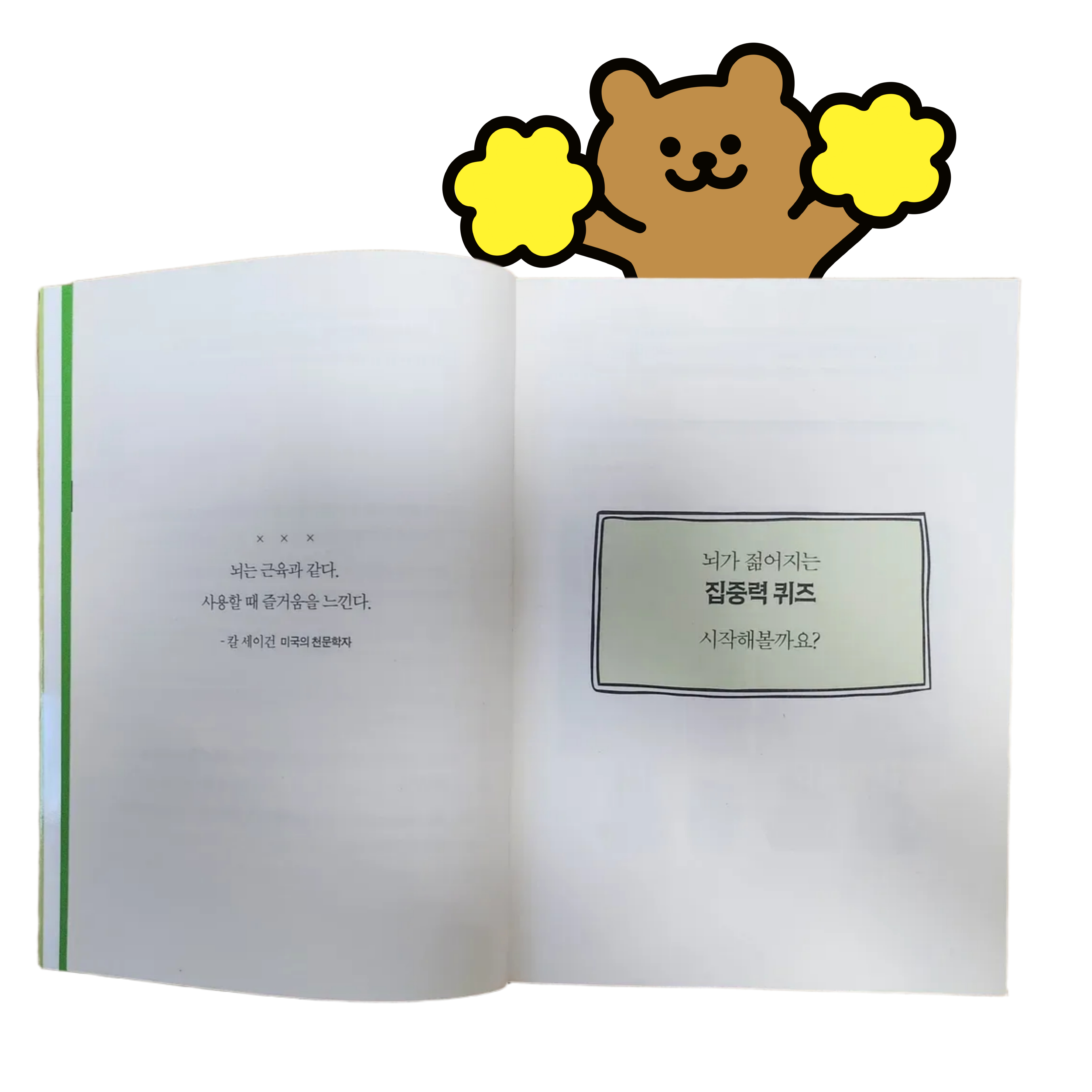 노인 치매 예방 학습지 퀴즈 책 인지 놀이 이미지 4