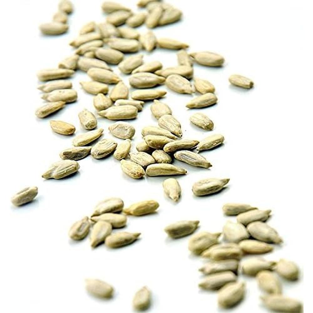 미일본산 해바라기 씨 무염 식품 구이 1kg 가격 : 경안인터