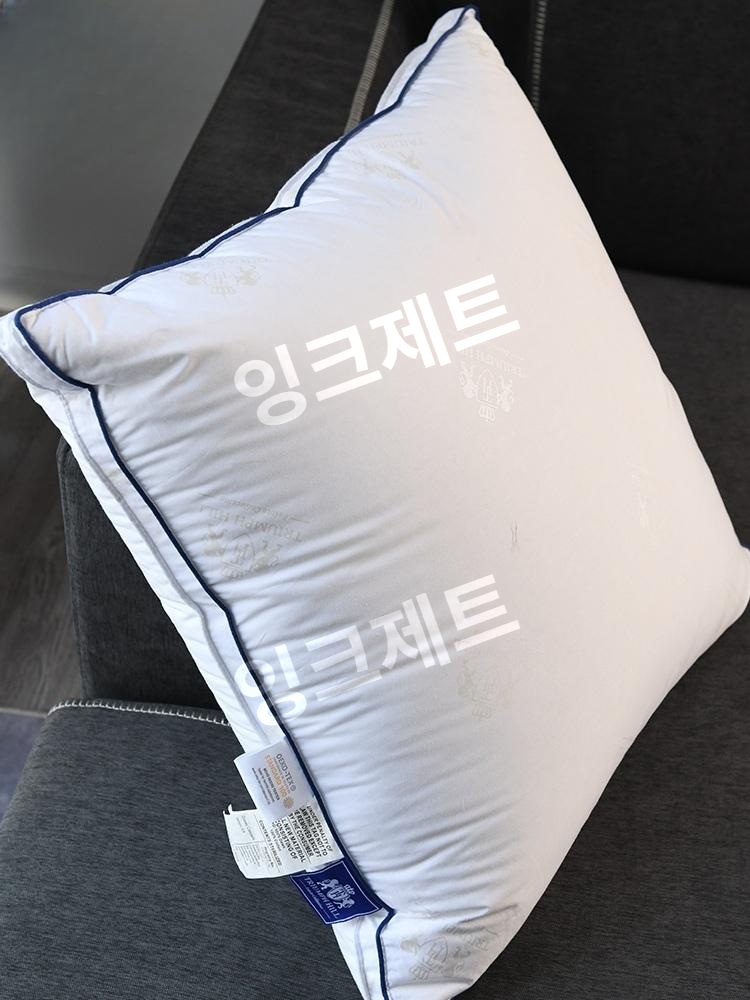호텔베개 화이트 인견 커버 베개솜 오리털 침구 기능성 제트 55X55cm 1개 하얀색 - 상품 이미지