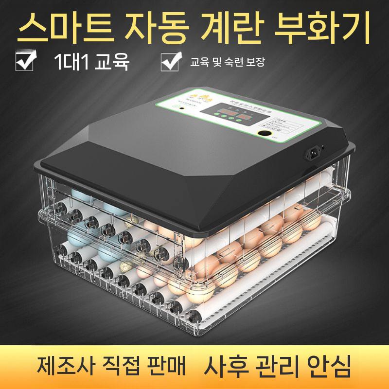 유정란 조류 메추리 새둥지 달걀 부화기 인큐베이터 용품 부화용품 알 병아리(1) - 상세 이미지 2