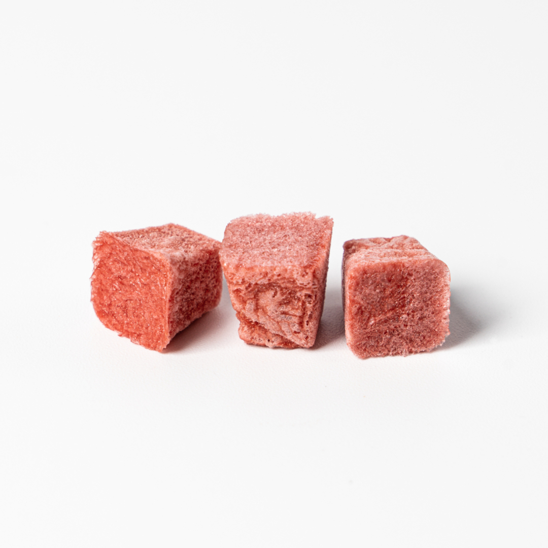 닥터리코 누리큐브 강아지 유산균 프로바이오틱스 변비 장건강 영양제 비건, 30g, 1개 - 상세 이미지 2