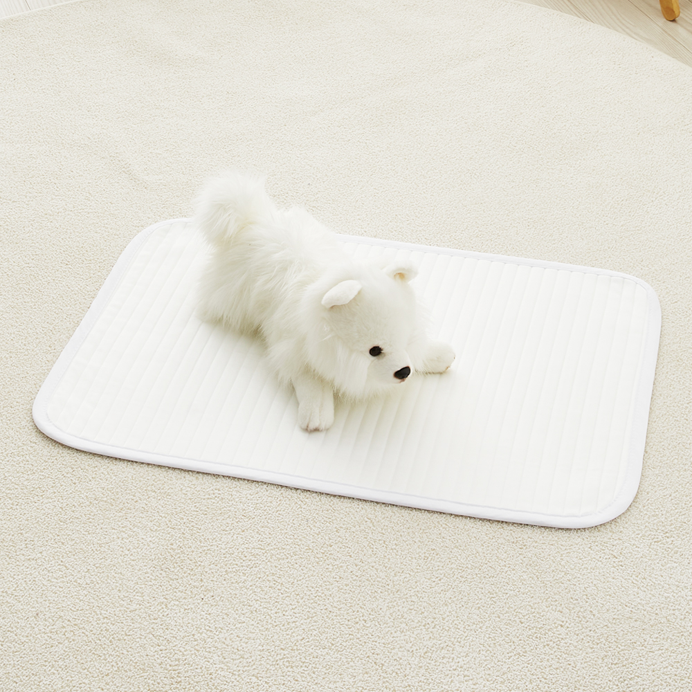 강아지 고양이 쿨매트 인견 패드 방석 반려동물 여름 애견 더안 소형