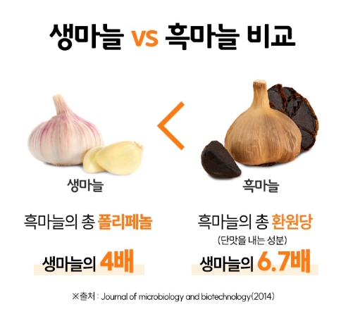 흑마늘 진액스틱 30포 발효 통 흙마늘 즙 추출 농축액 국내산 멜라노이딘 폴리페놀 셀레늄 - 상세 이미지 4