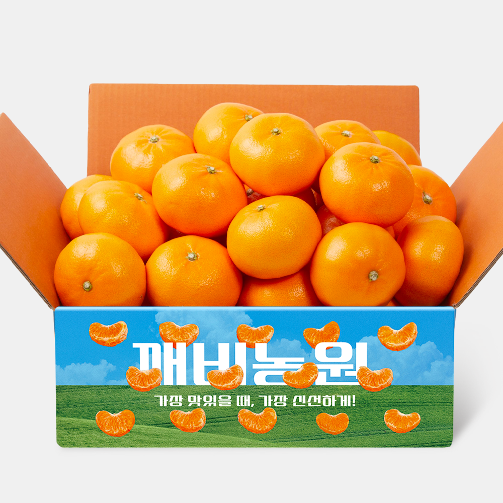제주 천혜향 4.5kg 대용량 - 메인 이미지