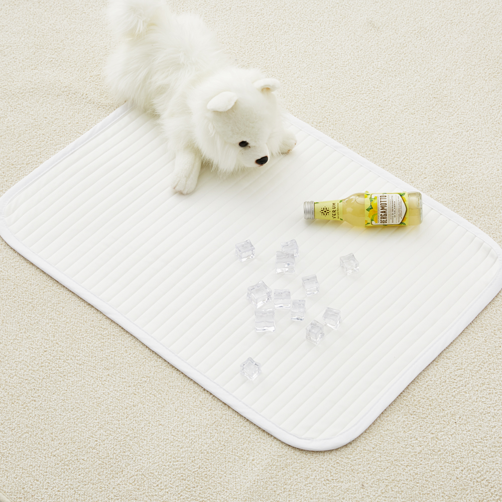 강아지 고양이 쿨매트 인견 패드 방석 반려동물 여름 애견 더안 중형