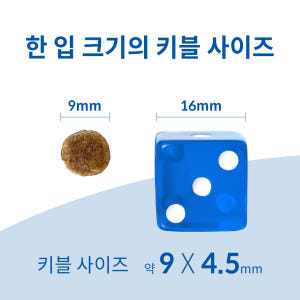 힐스 강아지사료 어덜트 7+ 스몰바이트 2kg x 2개 솔직 후기 | 실제 사용자 리뷰 총정리 - 상품 이미지 4
