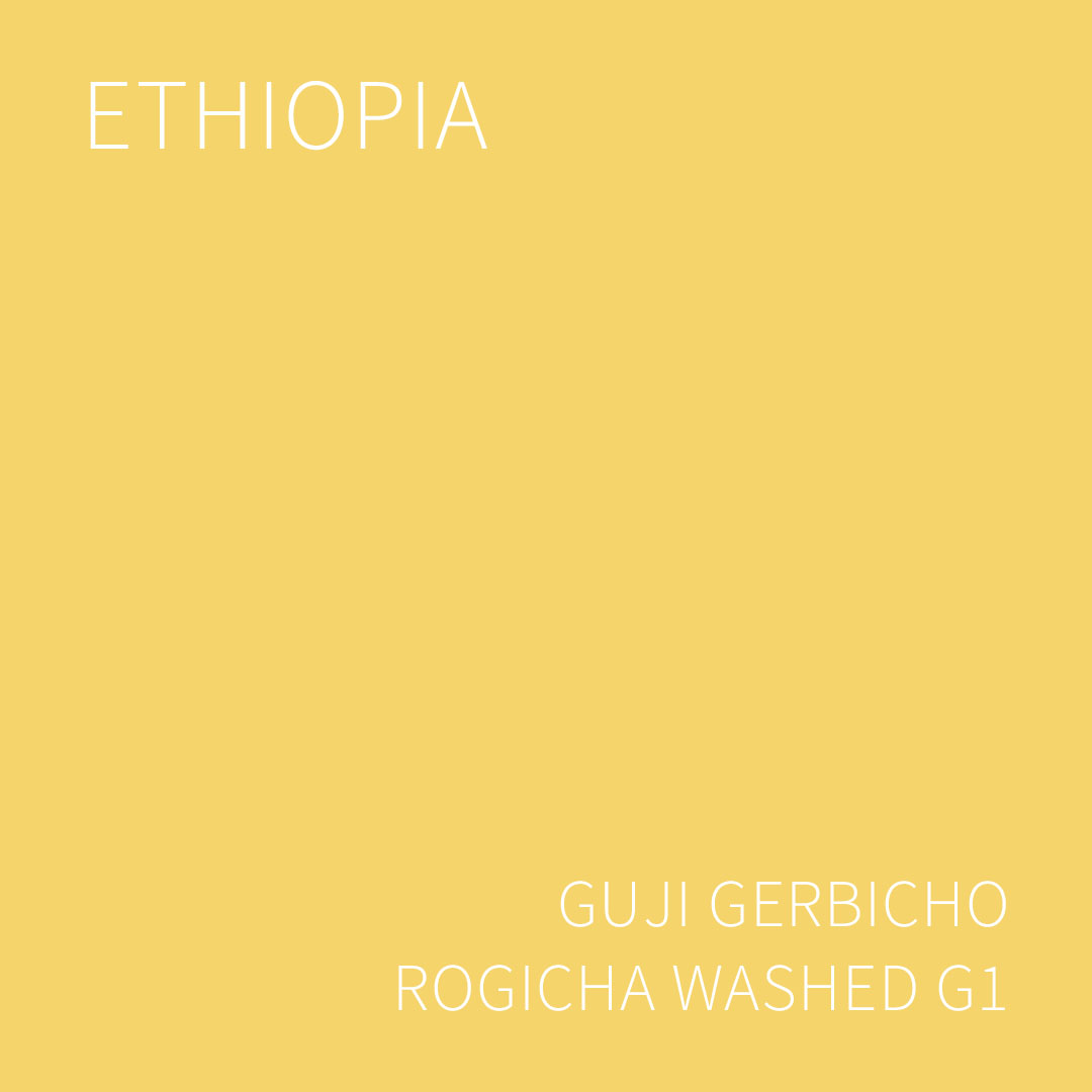 (2025 뉴크롭) 베르데 트레이드 에티오피아 구지 게르비초 로기차 워시드 G1 5KG (ETHIOPIA GUJI GERBICHO ROGICHA WASHED)