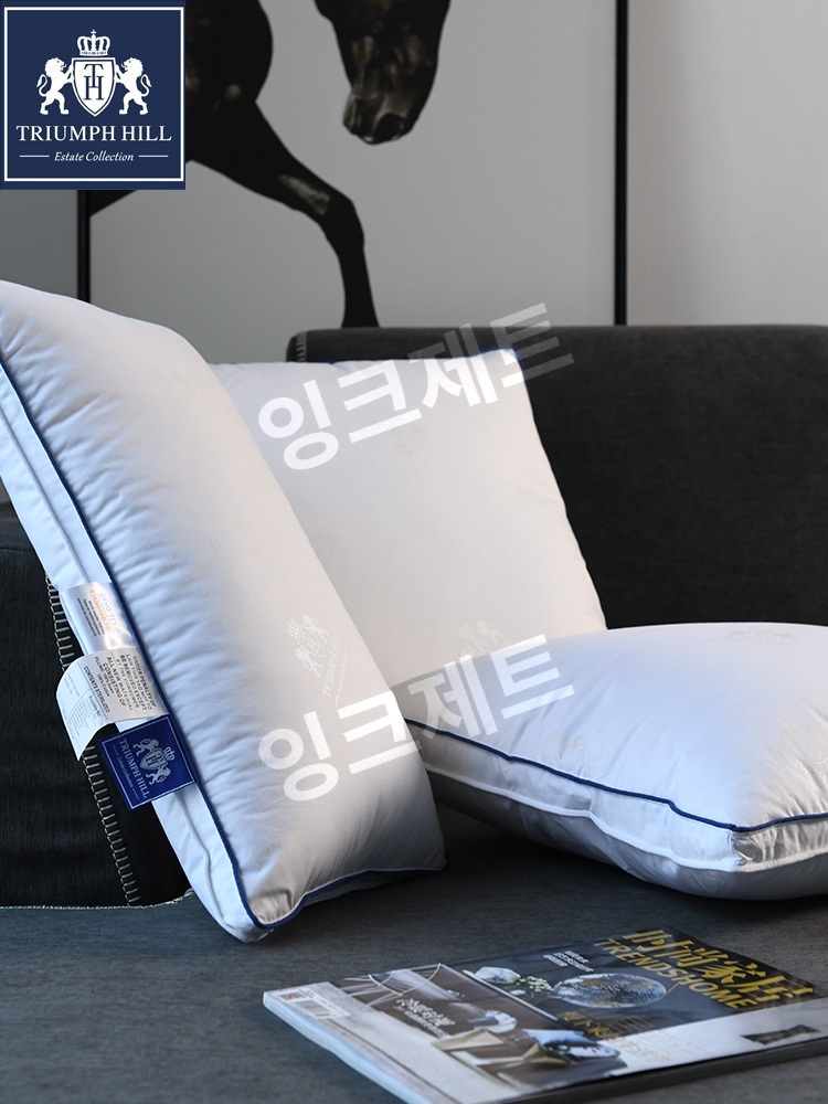 호텔베개 화이트 인견 커버 베개솜 오리털 침구 기능성 제트 55X55cm 1개 하얀색 - 상세 이미지 2