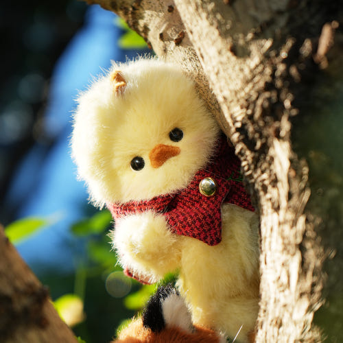 thumbnail-1