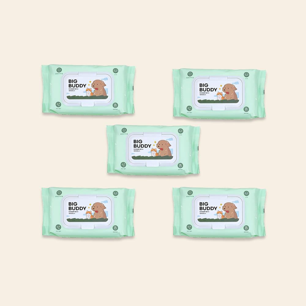 펫케어 강아지 물티슈 고양이 펫 애견 티슈 빅버디 20매 5팩 세트