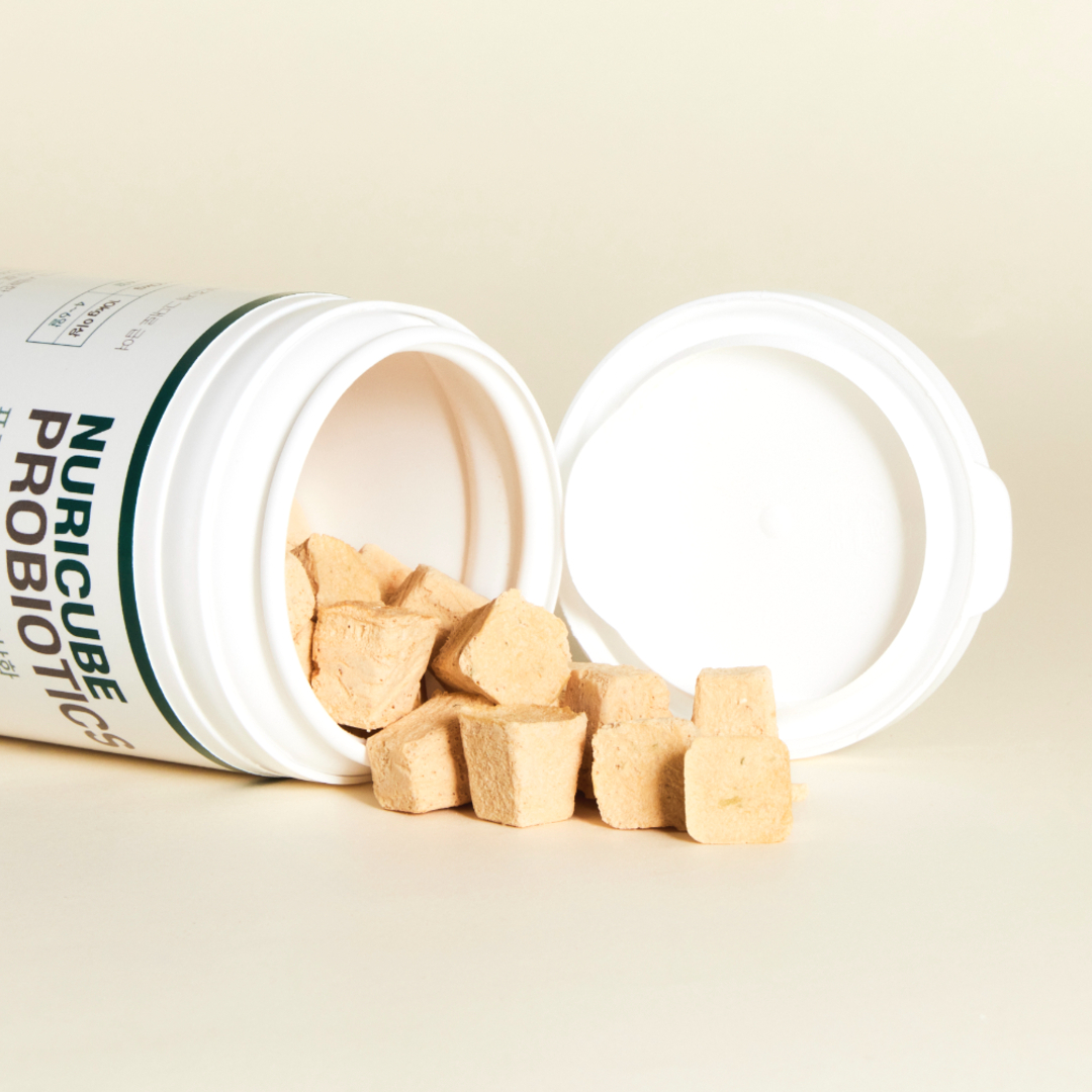 닥터리코 누리큐브 강아지 유산균 프로바이오틱스 변비 장건강 영양제 오리지널, 30g, 1개 이미지 7