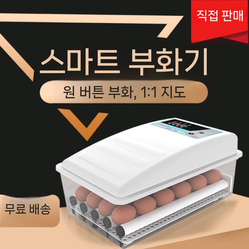 유정란 조류 메추리 새둥지 달걀 부화기 인큐베이터 용품 부화용품 알 병아리(1) - 상세 이미지 3