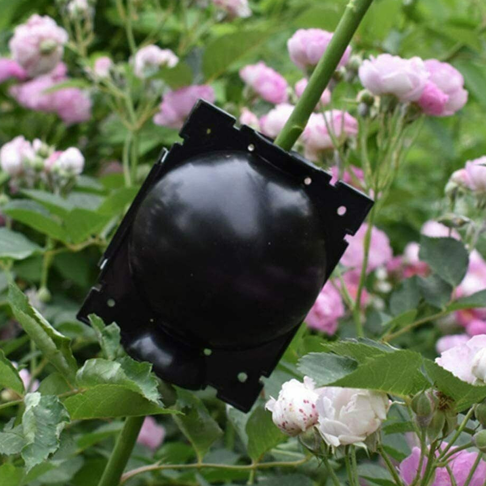 원예 취목볼 5cm 케이스 물번식 공중 뿌리 접목 성장 나무 넝쿨 배양 커버 지지대 번식 루팅볼 정원 원예용 농장용 제품 이미지