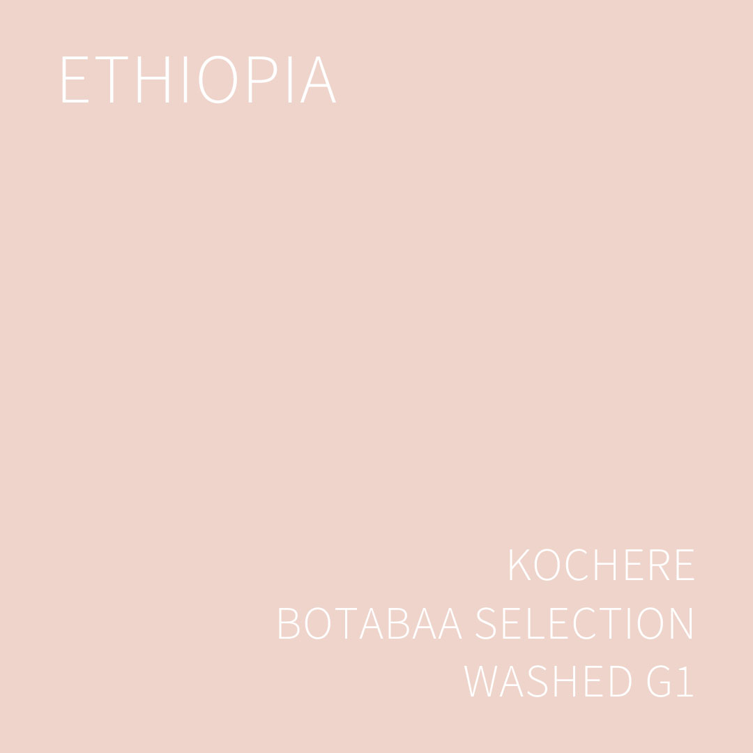 (2025 뉴크롭) 베르데 트레이드 에티오피아 코체레 보타바 셀렉션 워시드 G1 5KG (ETHIOPIA KOCHERE BOTABAA SELECTION WASHED)