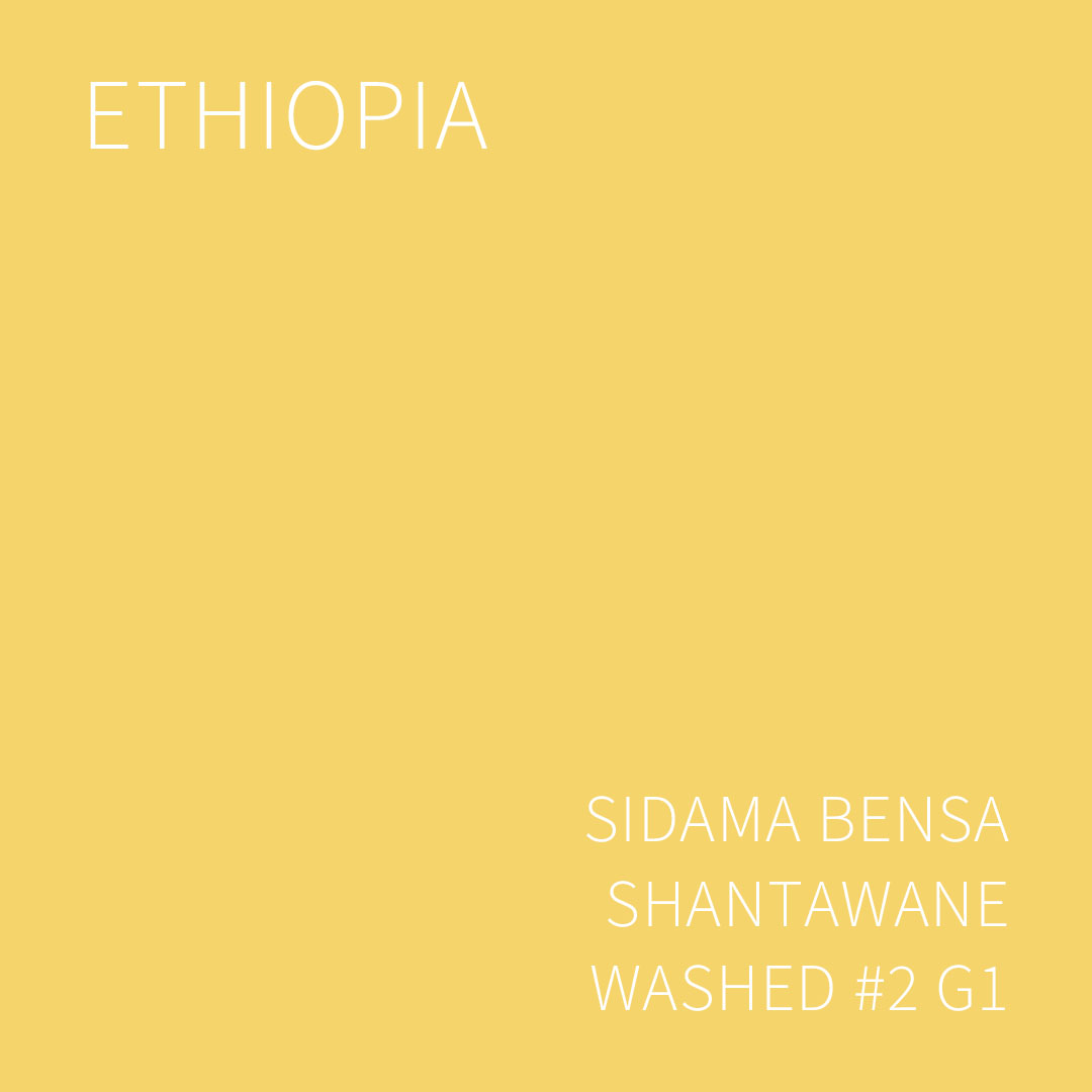(2025 뉴크롭) 베르데 트레이드 에티오피아 시다마 벤사 샨타와네 워시드 #2 G1 1KG (ETHIOPIA SIDAMA BENSA SHANTAWANE WASHED #2)