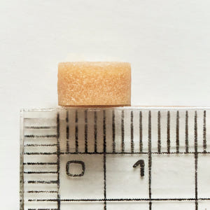 닥터리코 비토 비건 트릿 5종 버라이어티팩 강아지 노즈워크 저알러지 훈련... 솔직 후기 | 실제 사용자 리뷰 총정리 - 상품 이미지 2