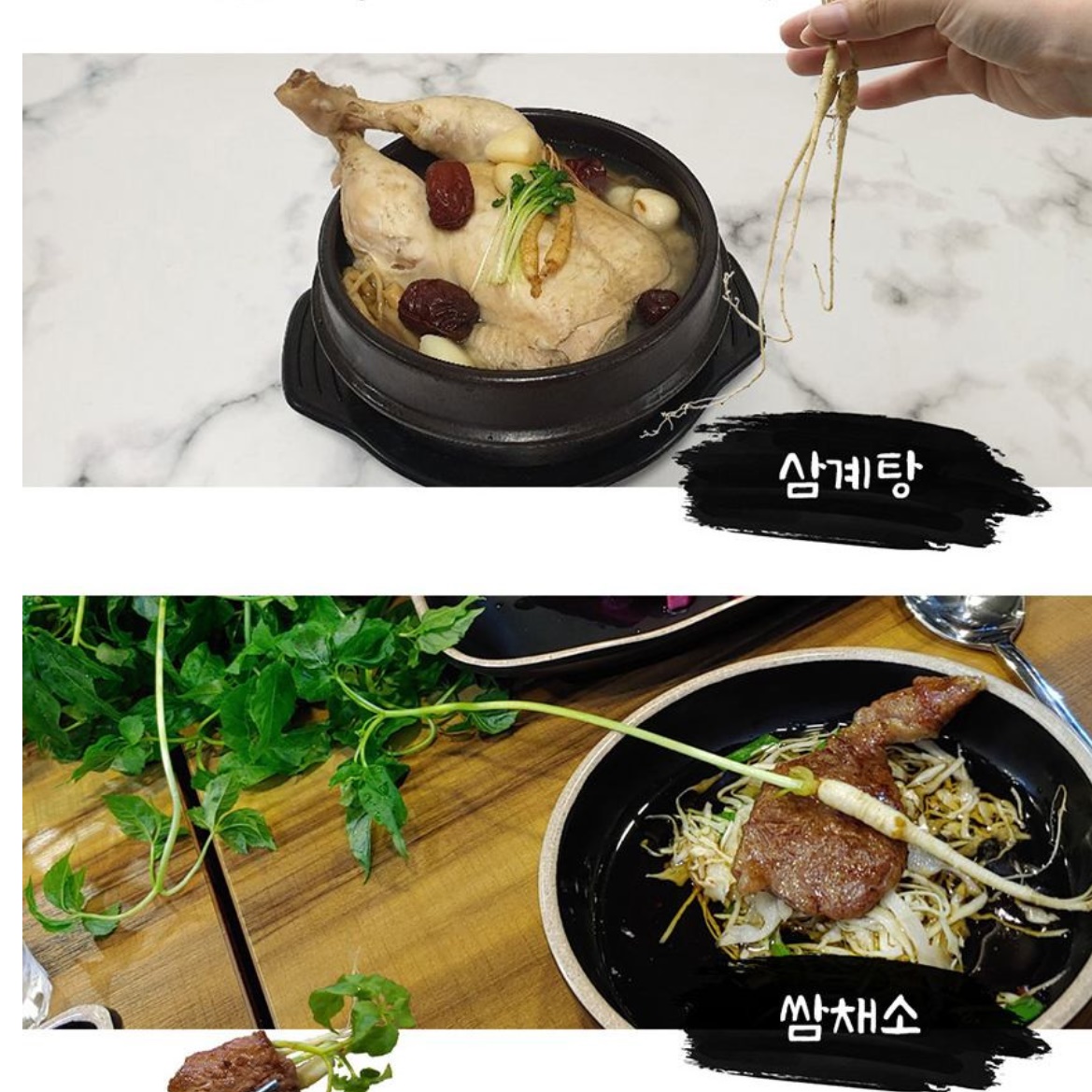 새싹삼 농장 선물용 새싹 산삼 새싹쌈 50뿌리 묘삼 - 상세 이미지 2