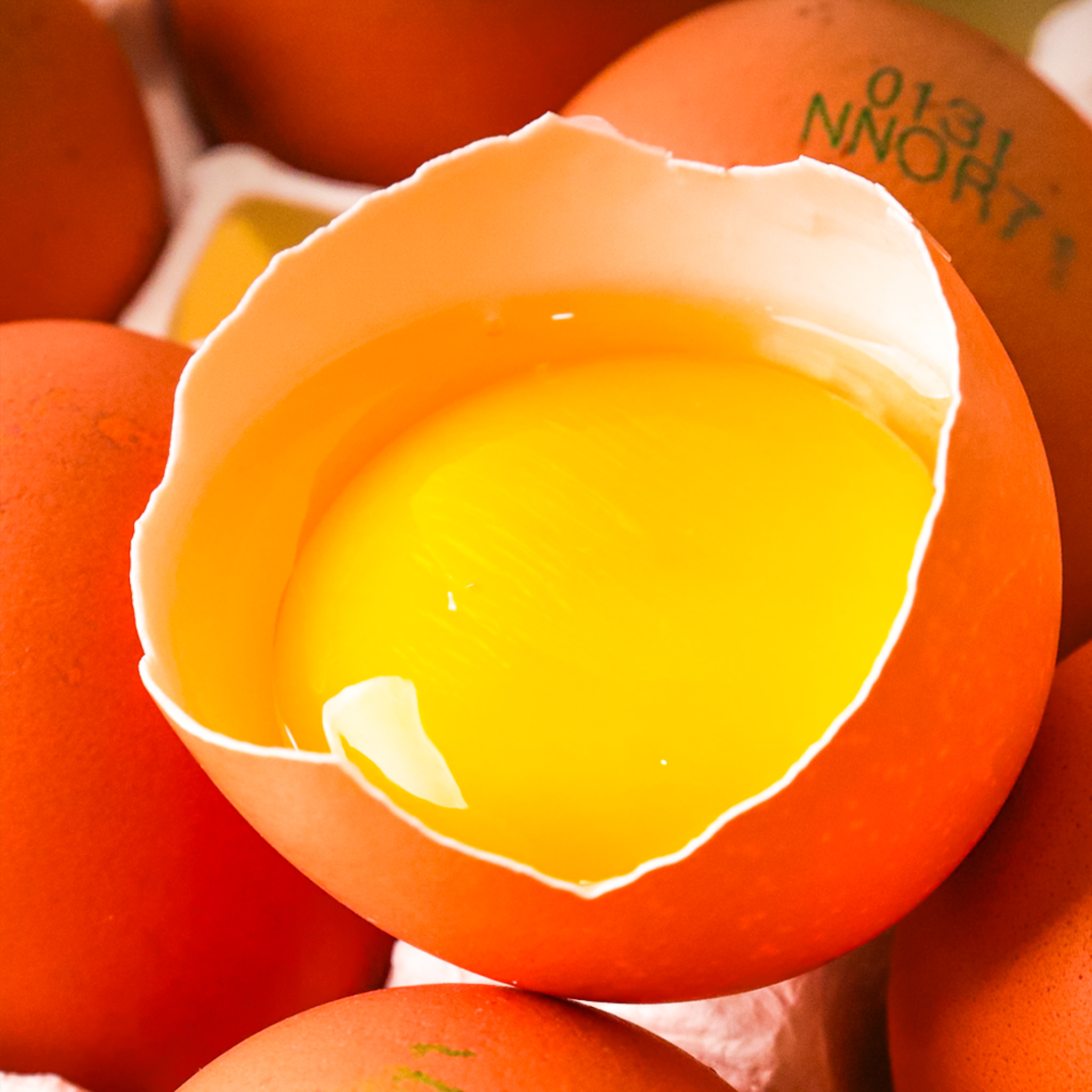 난각번호1번 계란 유정란 무항생제 달걀 20구