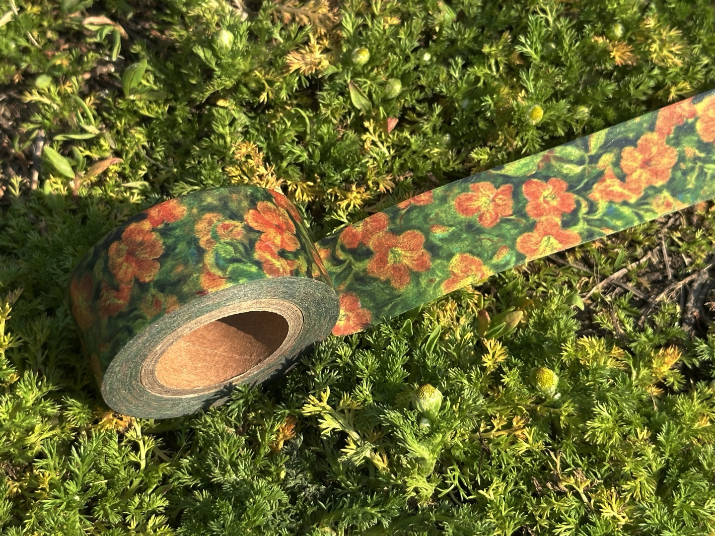 파과 마스킹 테이프 masking tape 상세 이미지 7