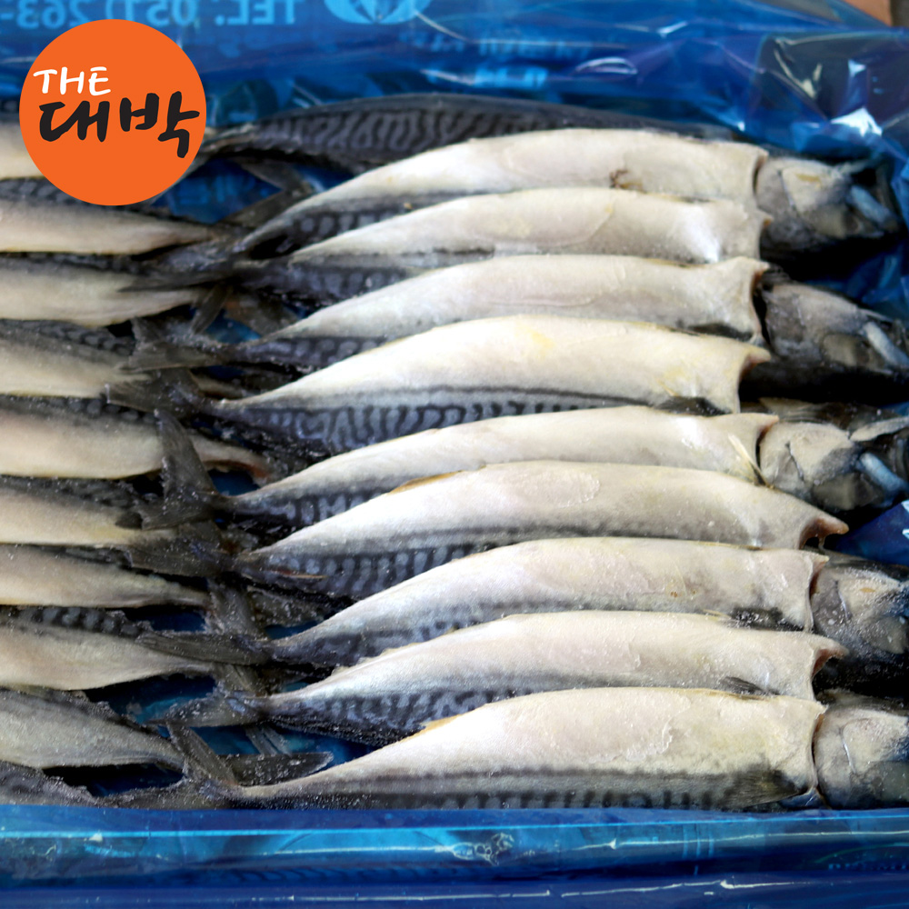 국내산 간고등어 10kg 자반고등어 대용량 벌크 업소용