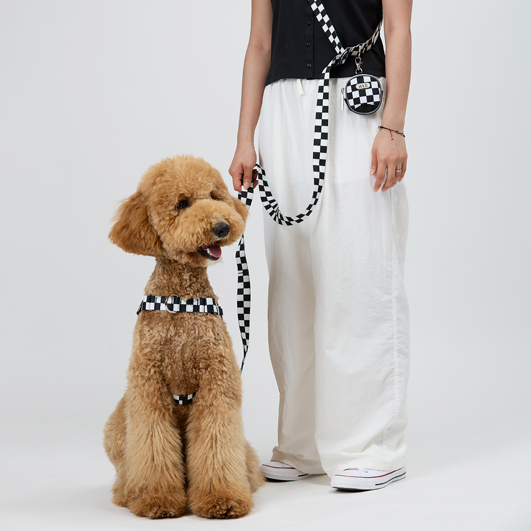 일로 맥스 리쉬 리드줄 반려견 산책용품 2m 텐텐, 2.4m 핸즈프리