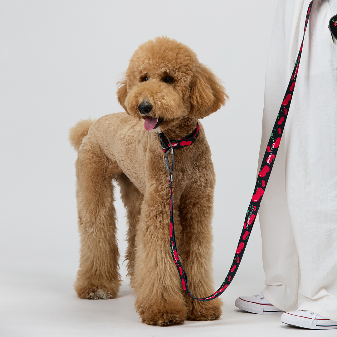 일로 맥스 리쉬 리드줄 반려견 산책용품 2m 체리붐, 2.4m 핸즈프리