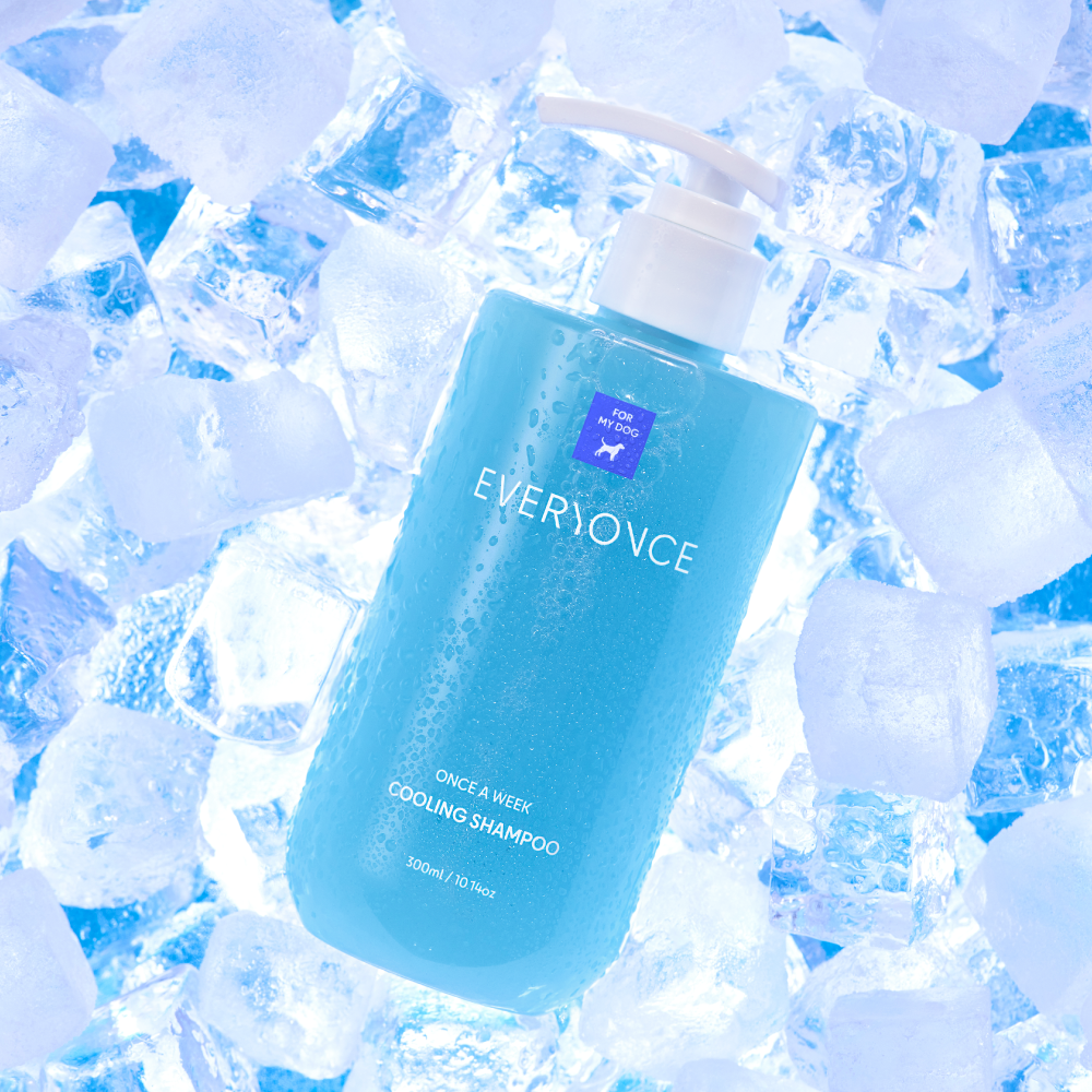 에브리원스 수분 쿨링 강아지샴푸 300ml