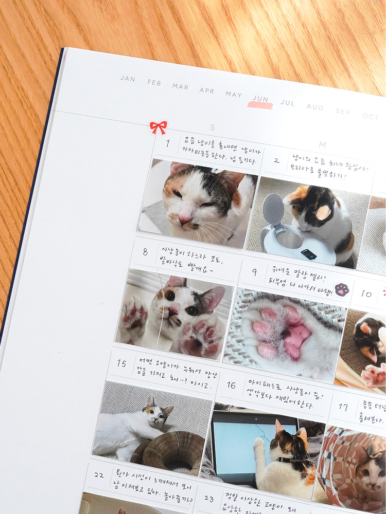 리훈 오픈뷰 타임테이블 위클리플래너 타임박스 트래커 스케줄러 만년다이어리 상세 이미지 4