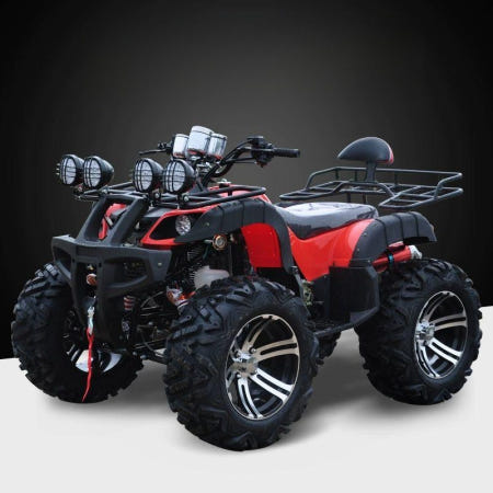 4륜구동 오토바이 짐 운반 사발이 해변 모험 비치 E.125cc 마블블루