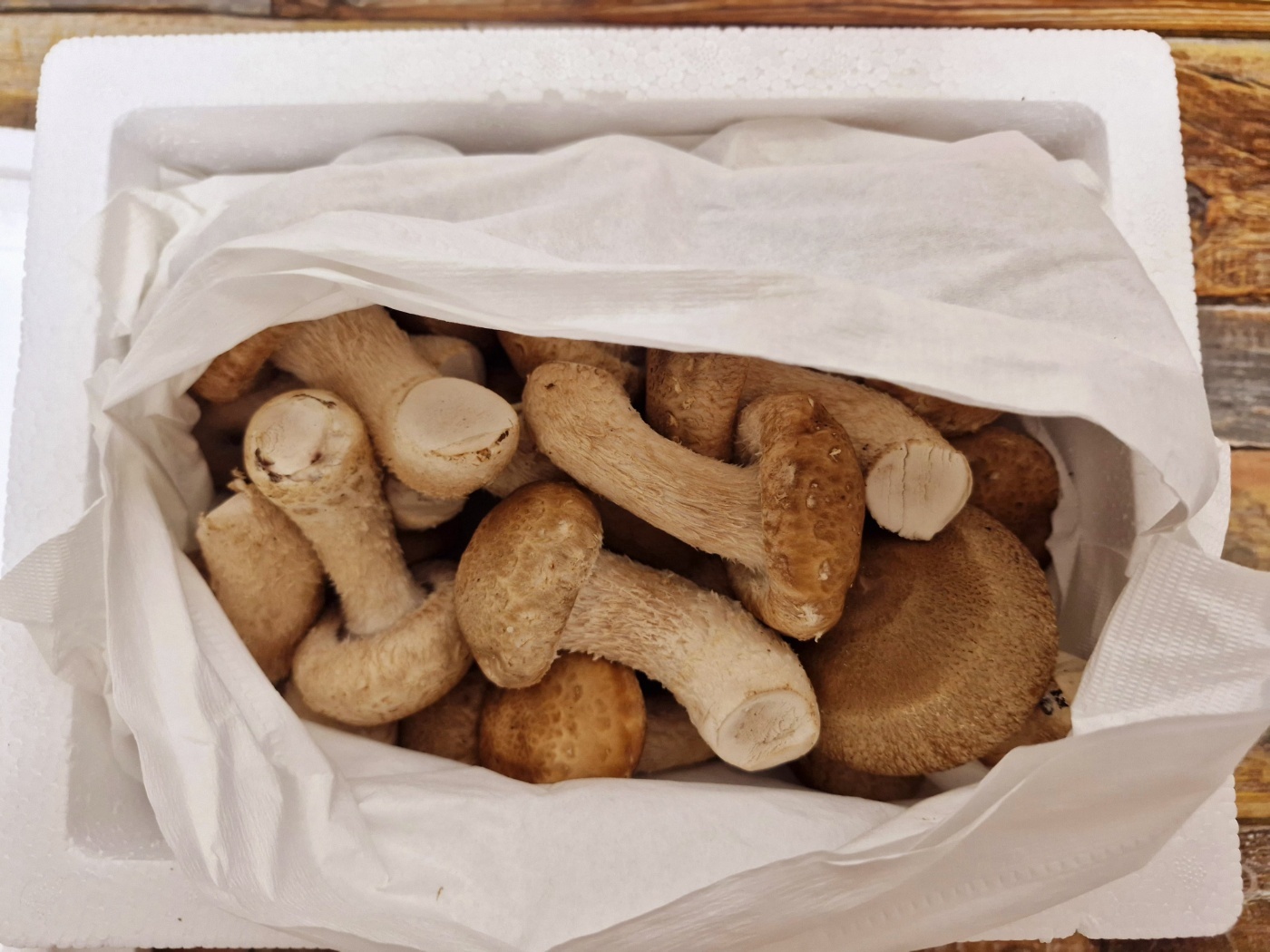 면역력/건강식재료 국내산 송화버섯 500g/1kg 향 가득한 프리미엄 송향버섯 이미지 6