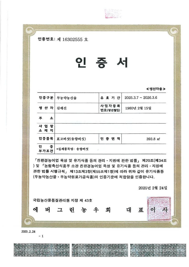 면역력/건강식재료 국내산 송화버섯 500g/1kg 향 가득한 프리미엄 송향버섯 - 상세 이미지 2