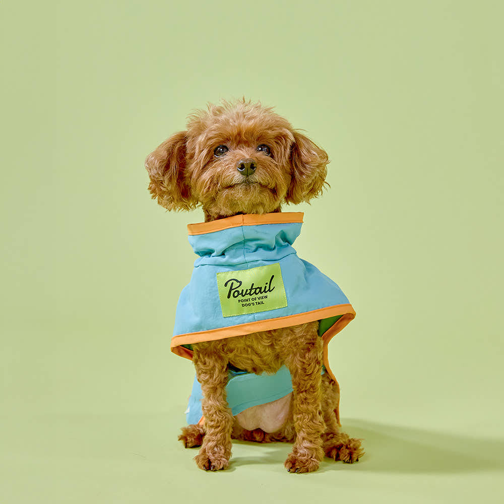 포브테일 윈드 도그 코트 2color, 강아지 커플 산책 점퍼 옷
